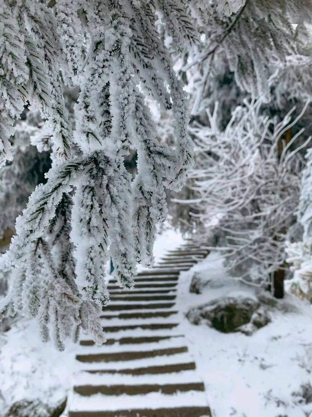 衡山下雪图片