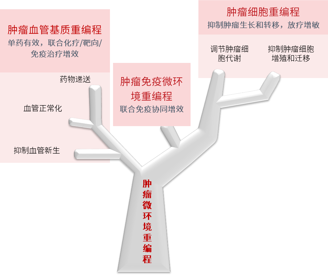 妇享新生丨一文盘点，安罗替尼联合治疗为妇科肿瘤患者带来获益_研究_al_et