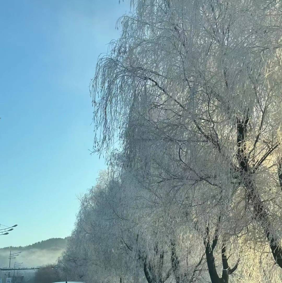 手部震颤(手部震颤怎么回事)