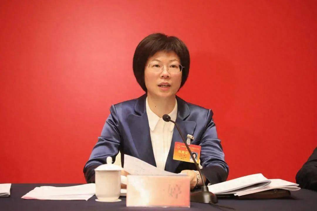 "担当作为好干部"石一婷,晋升副市长_长兴县_浙江_县委书记
