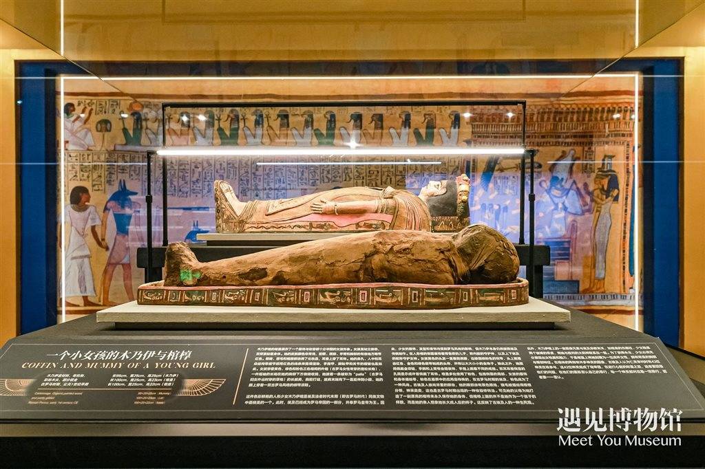 上海博物馆木乃伊展览图片