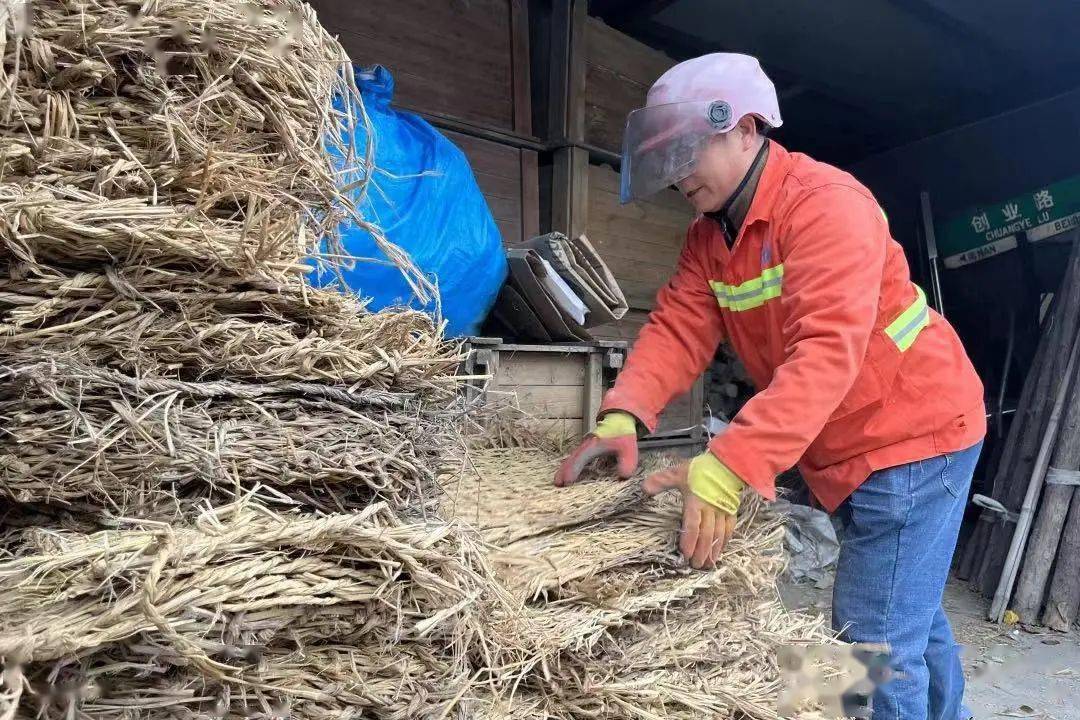 對轄區內抗寒性較差,不耐霜凍的樹木進行防寒刷白工作,以增強樹木抗寒