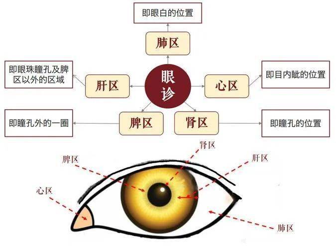 都收集齐了