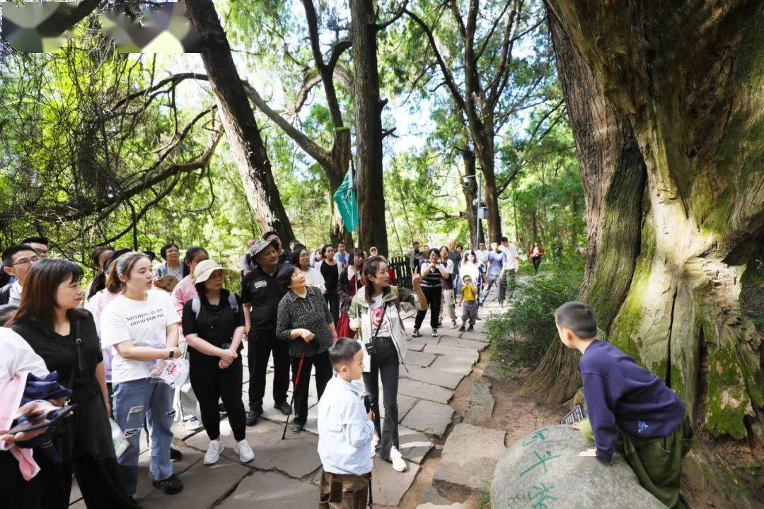 即日起至元旦，剑门关——翠云廊景区网络预约门票试行实名制 