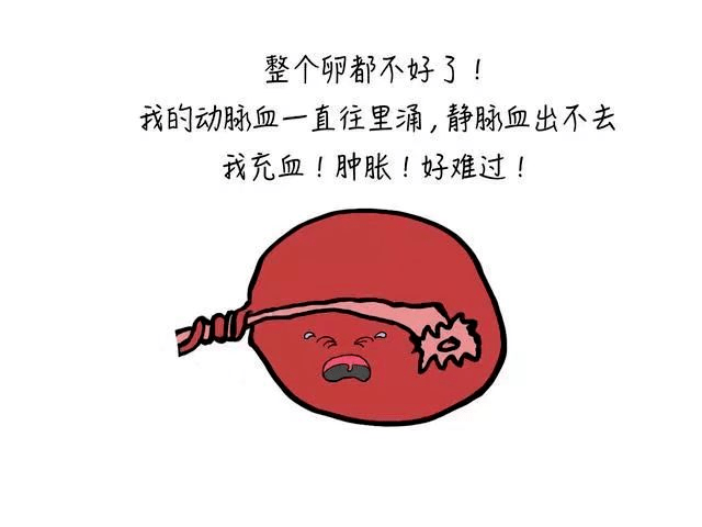 右侧卵巢疼图片