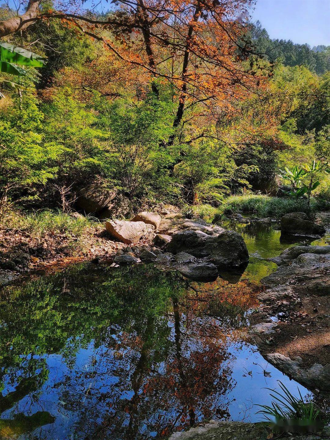 陈彩梅摄《飞阅云髻山》一等奖本次比赛意在聚焦新丰枫叶节,关注