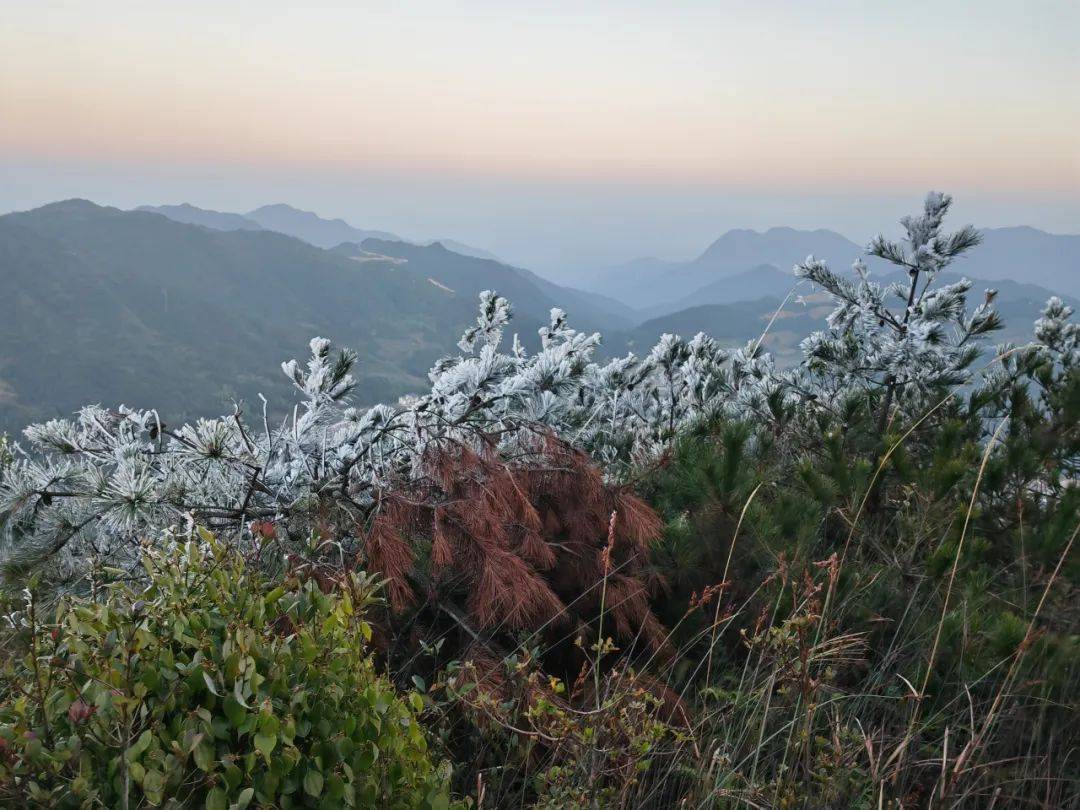 04冬04景04难得一见的南靖今天一早便出现了其中平和大芹山仅