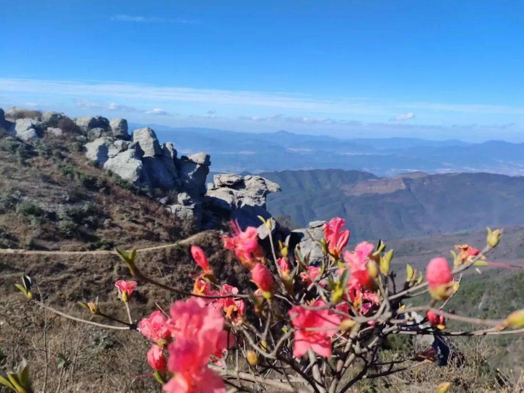 永新秋山介绍图片