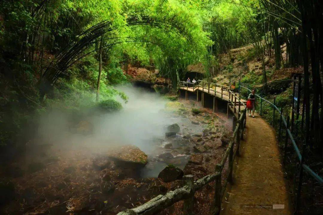 去川西竹海,找深冬里的夏_邛崃_山林_翡翠