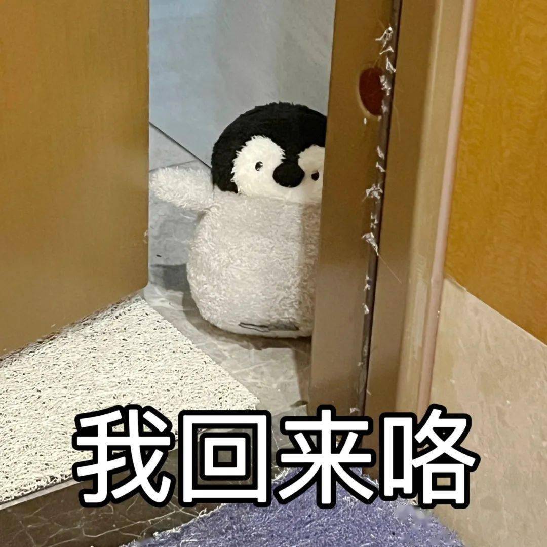 超有趣的企鹅表情包:我回来咯