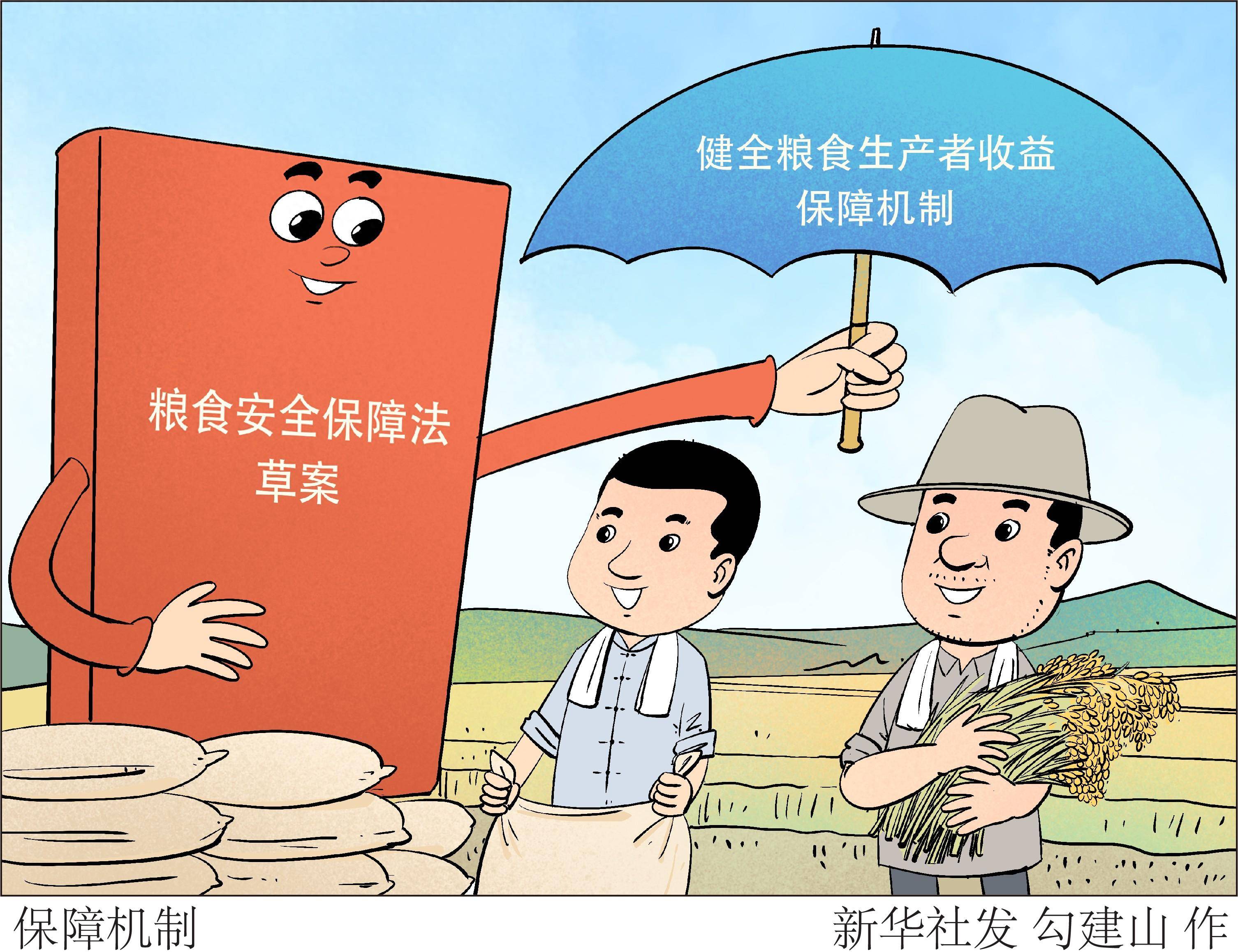 (图表·漫画〔人大常委会〕保障机制_新华社_粮食生产者_规定