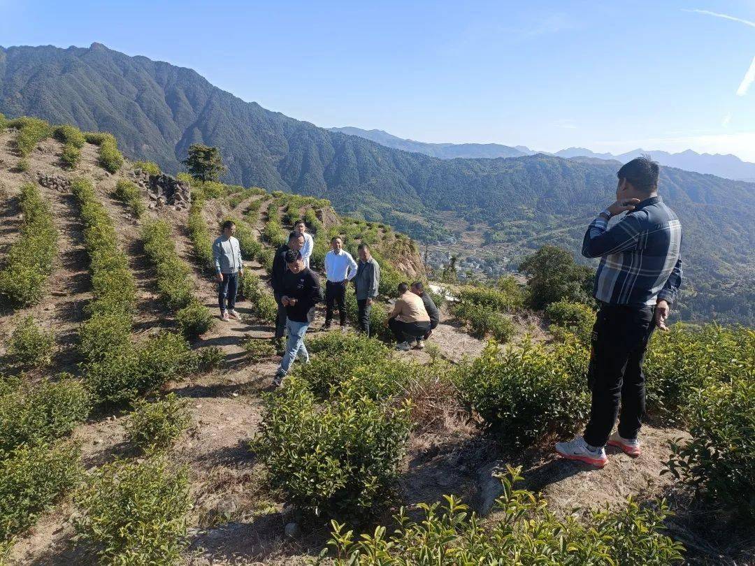 街镇(乡)风采丨瑞安市湖岭镇人大:多措并举 助力探索乡村振兴新路径