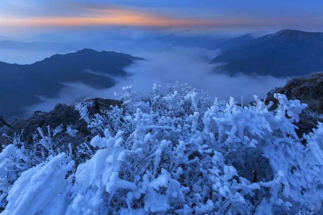 该轮到括苍山的雾凇火了!