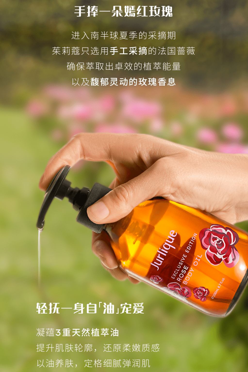 茱莉蔻丨2024玫瑰按摩油限量上市