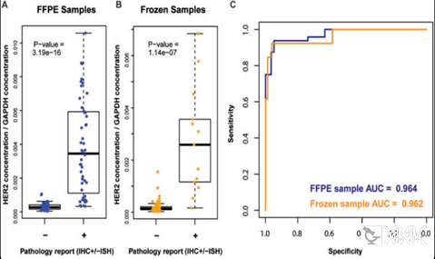 全面探索her2 low乳腺癌的新興診斷技術_研究_檢測_樣本