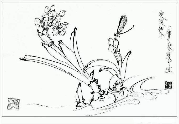 素材| 一组王道中白描花卉草虫画谱35图