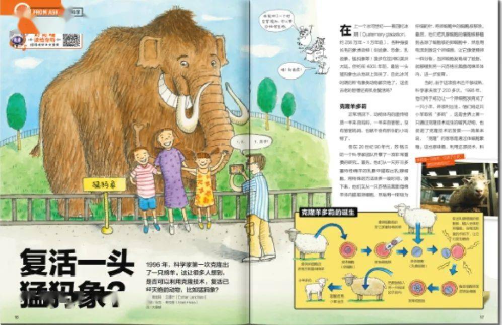 61 在動物王國,有哪些看起來很像卻沒有親緣關係的動物?