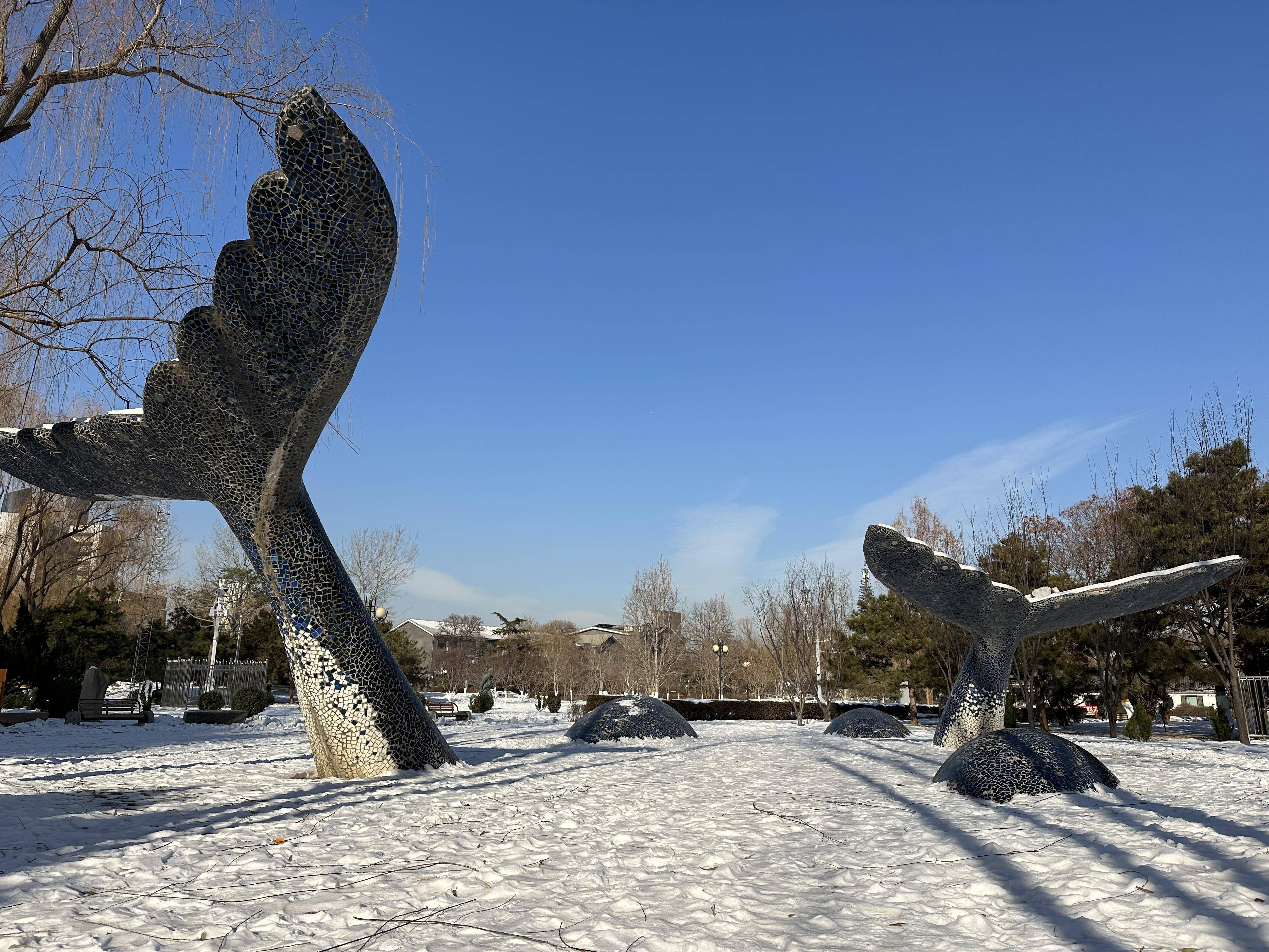 北京雕塑公园电话图片