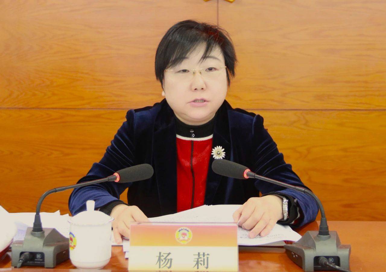 聚焦汽车“新四化”产业领先发展，嘉定区政协召开常委会议_协商_支持_杨莉