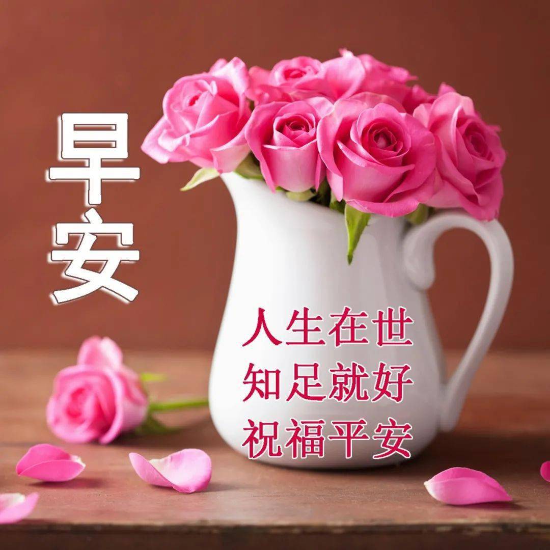今日最新早上好表情图片,祝福满满,祝你平安!