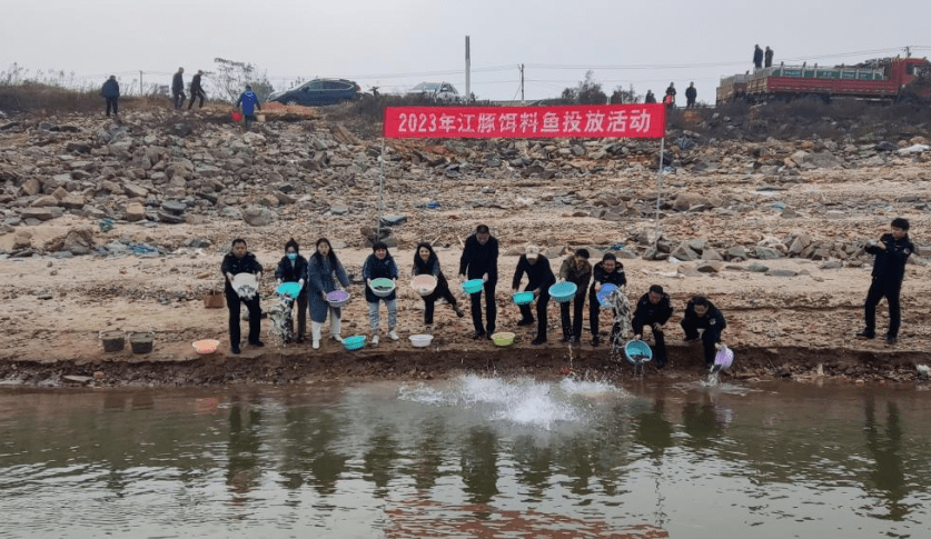 【長江十年禁漁 三年強基礎】南昌市東湖區農業農村局:江豚迴歸 東湖