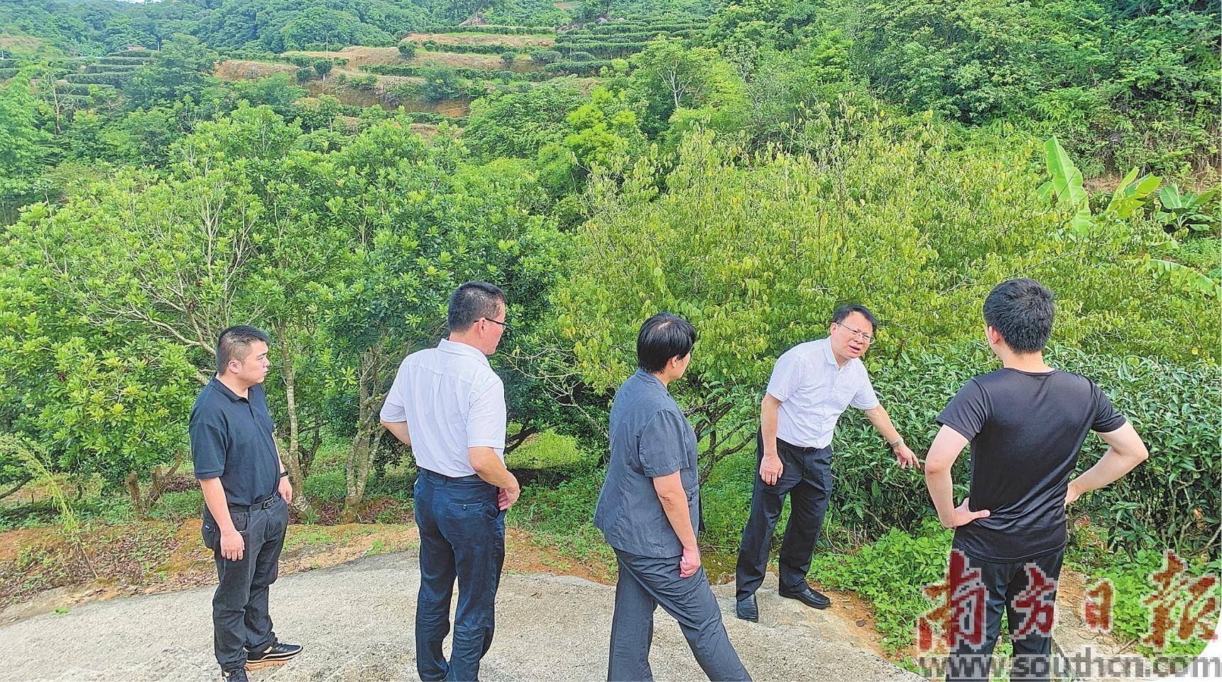 实质解纷 把矛盾化解在基层_调解_汕头市_工作