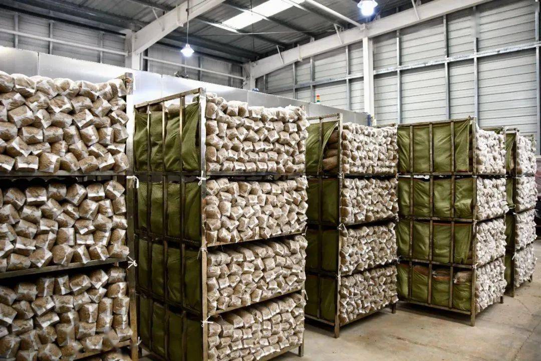 汝阳香菇…_种植_菌棒_生产