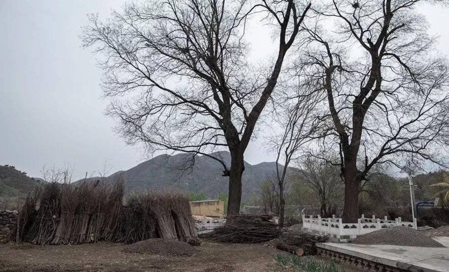 吉家營原名吉家莊,是一個有戍邊城堡發展起來的村落,始建於明萬曆初年