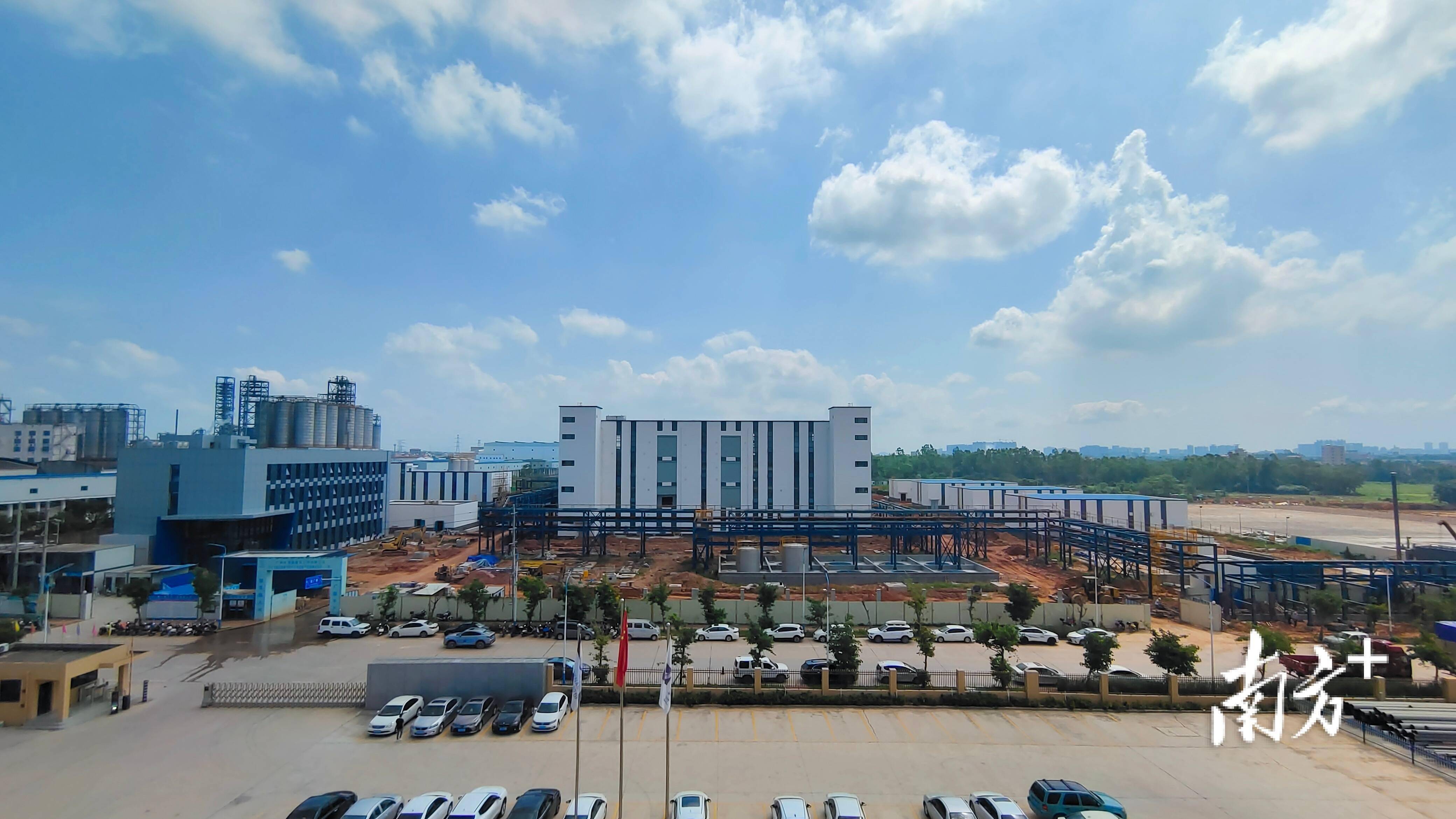 茂名高新区:全面加快城乡融合发展步伐,推动"百千万工程"实现新突破