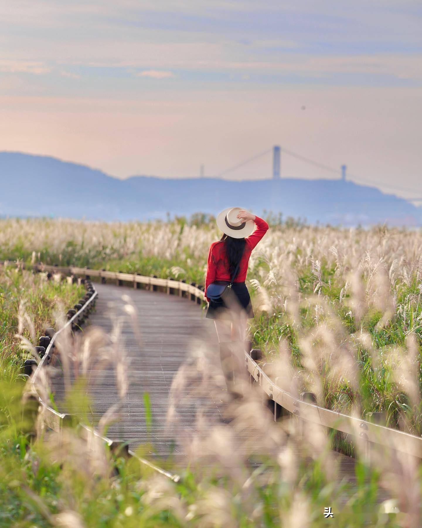 芦苇人像照片,美极了,6个手机摄影技巧快学起来_人物_角度_背景