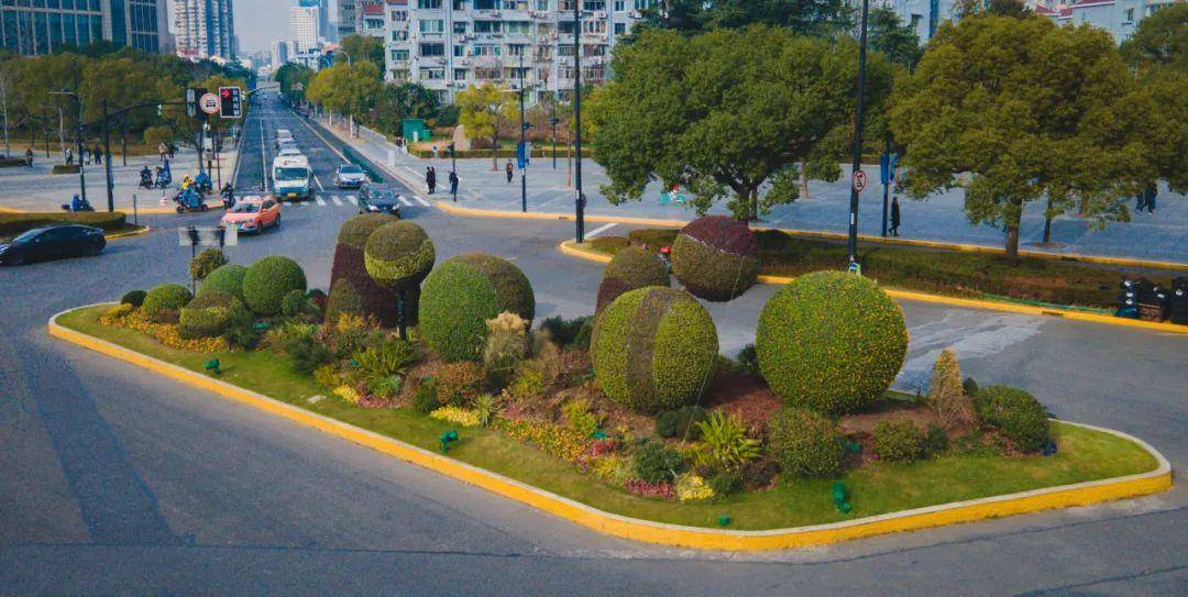 浦东花坛花境缤纷上新啦→_景观_道路_花卉