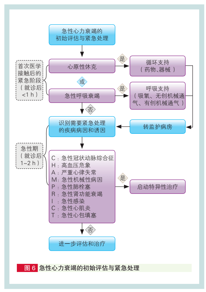 用champrict流程查因 | 急性心衰部分解读【国家心衰指南(2023)】