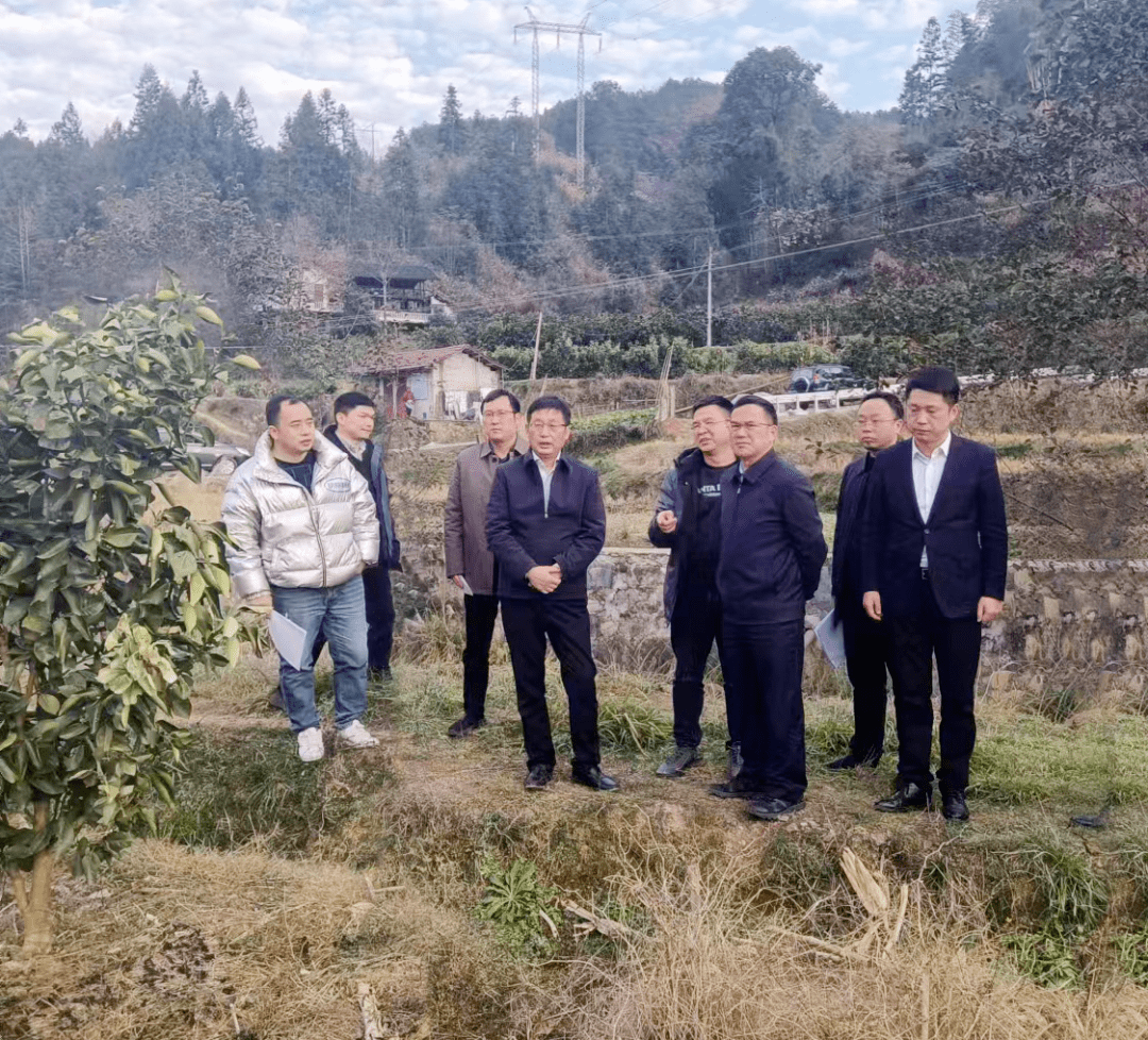 2023年岁末之际,厅党组成员,副厅长谢文带队赴怀化