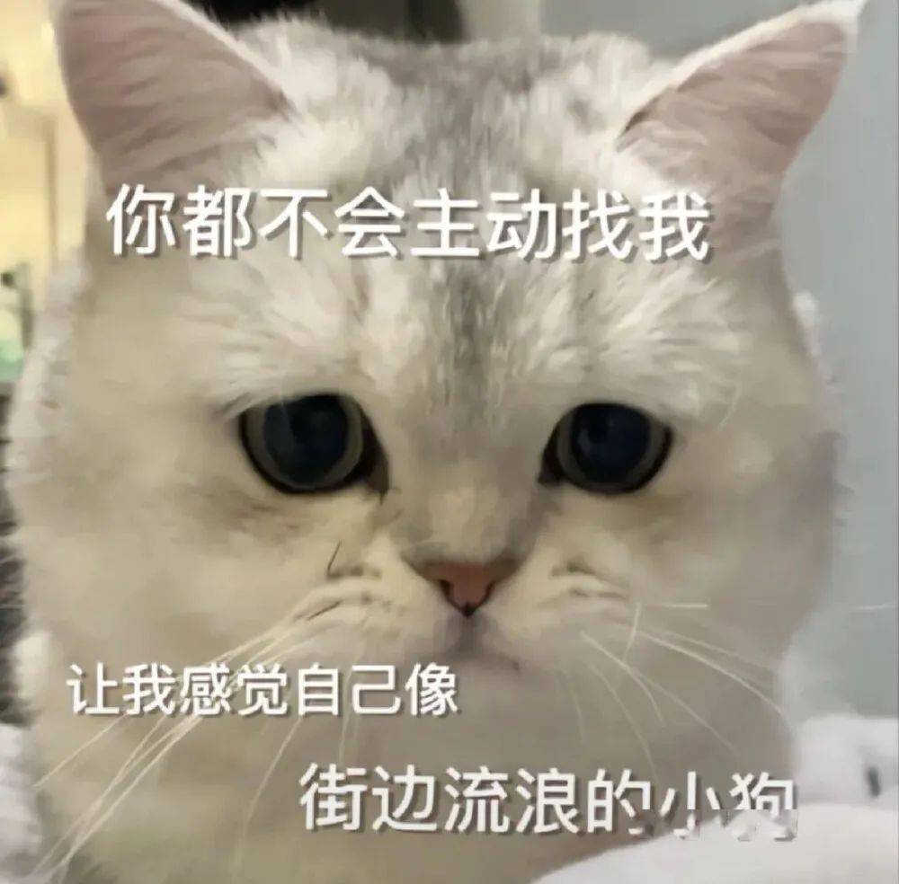 超撩人的猫咪情侣表情包 勾引到我了!