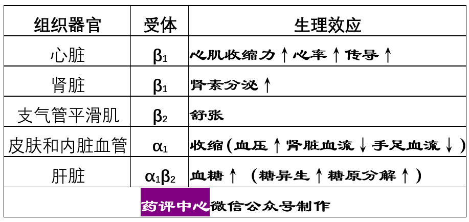 比索洛尔与美托洛尔图片